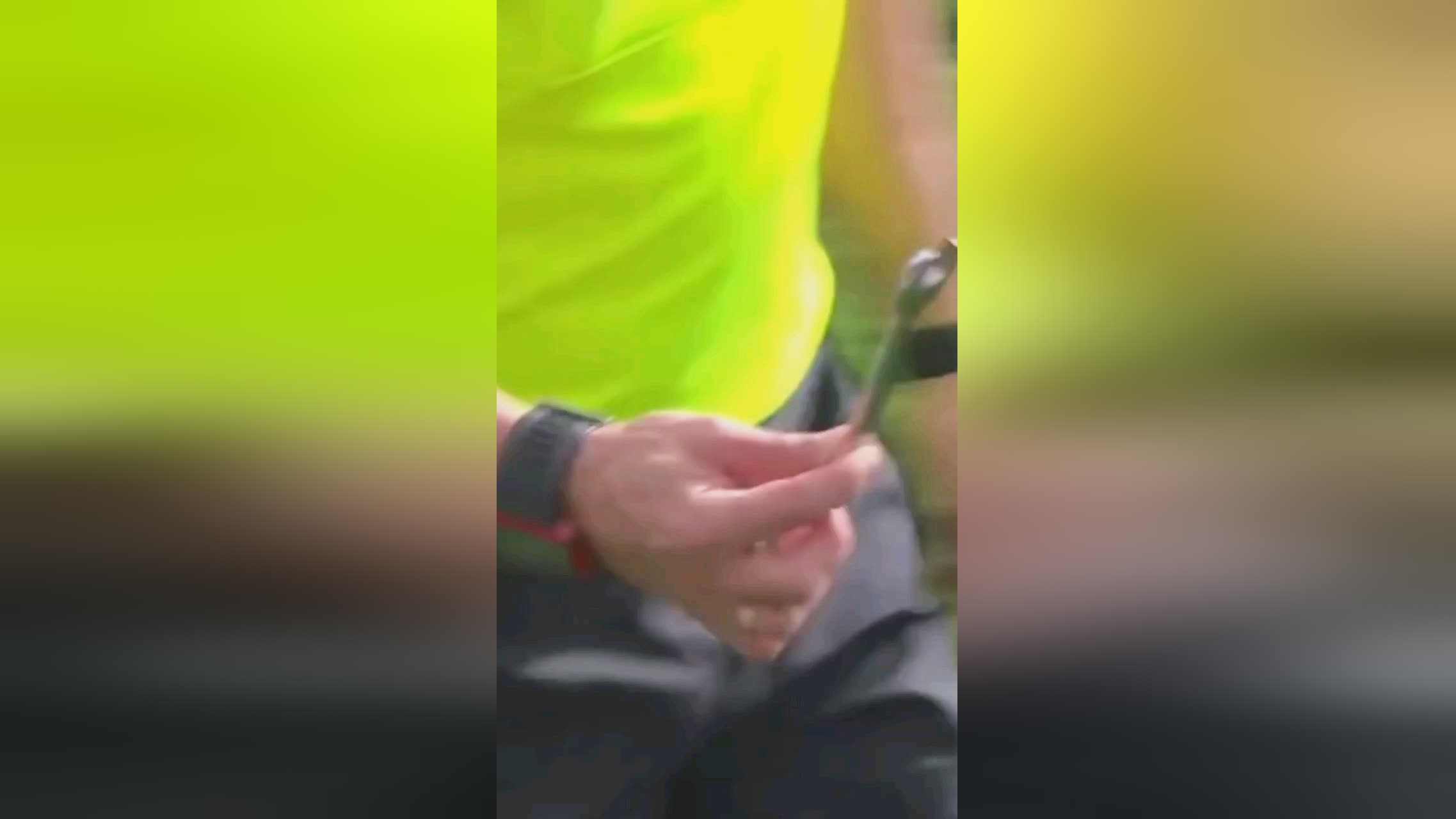 系统有效监